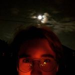 Logan Beach - @dogonaroof - Instagram