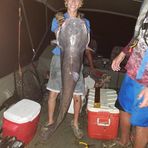 Logan Becker - Facebook