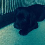 Logan Bedford - @logan.bedford - Instagram