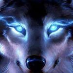 Logan Belcher - @science_wizard0726 - Instagram