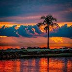 Logan Bernard - Facebook