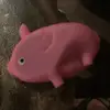 loganberry - @logan.berry16 - TikTok