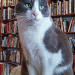 Loganberry Books - @loganberrybooks - Instagram