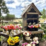 Loganberry Farm | A Regenerative Egg and Flower Farm - @loganberryfarm - Instagram