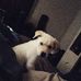 Logan Blevins - Facebook