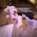 Logan Blevins - Facebook