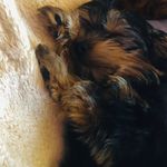 Logan Boggs - @boggs8853 - Instagram