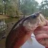 loganboyett7 - @loganboyett7 - TikTok