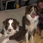 Logan Bray - @logan_bray_ - Instagram