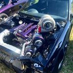 Logan Bright - Facebook
