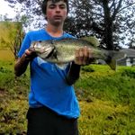 Logan Brower - @the__bass__master - Instagram