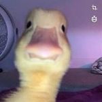 Logan Brower - @logxnzzz - Instagram