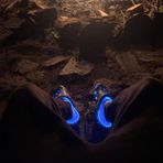 Logan Buck - Facebook