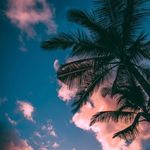 Logan Buckley - @loganbuckley5 - Instagram