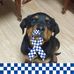 Logan Buckley - Facebook