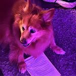 Logan Burrell - @logan.burrell.73 - Instagram
