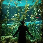 Logan Butler - @loganmaxb - Instagram