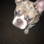 Logan Cabral - @logan_siege - Instagram