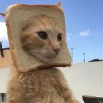 Logan Cabral - @extendedchicken - Instagram