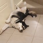 Logan Cameron - @logancameron06 - Instagram