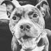 Logan Carmody - Facebook