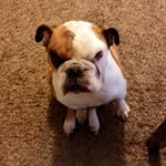 Logan Caudill - @caudill7653 - Instagram