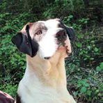 Logan Caudill - Facebook