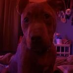 Logan Caudill - Facebook