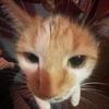 logancaudill07 - @logancaudill071 - TikTok