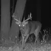 Logan c - @logan.chamberlain78 - TikTok