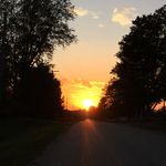 logan chamberlain - @loganchamberlain1874 - Instagram