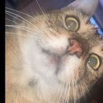 Logan Chaput - @logan_chaput0 - Instagram