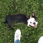 Logan Chavez - @logan_btrr - Instagram