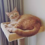 Logan Chen - @loganchen1122 - Instagram