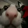 loganchen9922 - @loganchen9922 - TikTok