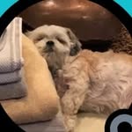 Logan Clarke - @logan_clarke123420 - Instagram