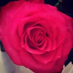 Logan Clegg - @vwp13du0dk - Instagram