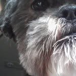 Logan Clegg - @yff1v8icmg - Instagram