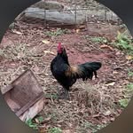 Logan Clingan - @logan_clingan_4 - Instagram