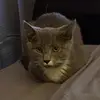 Logan Coffey - @logan.coffey26 - TikTok