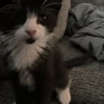 Logan Cornelius - Facebook