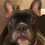 Logan Covington - @loganlovesoup - Instagram