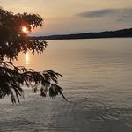 Logan Covington - @logancovington26 - Instagram