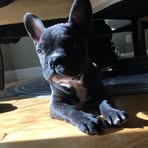 Logan Covington - Facebook