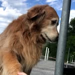 Logan Haag - @logan.haag.covington - Instagram