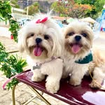 🐾Logan 🎈 . 🐾cristal 🎀 . - @loga_ncristal - Instagram