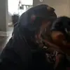 Logan Crist - @logan.crist - TikTok