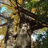 Logan_cromwell - @logan_cromwell - TikTok
