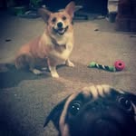 Logan Cross - @logan_cross54 - Instagram