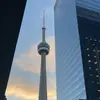 Logan cross - @logan.cross56 - TikTok
